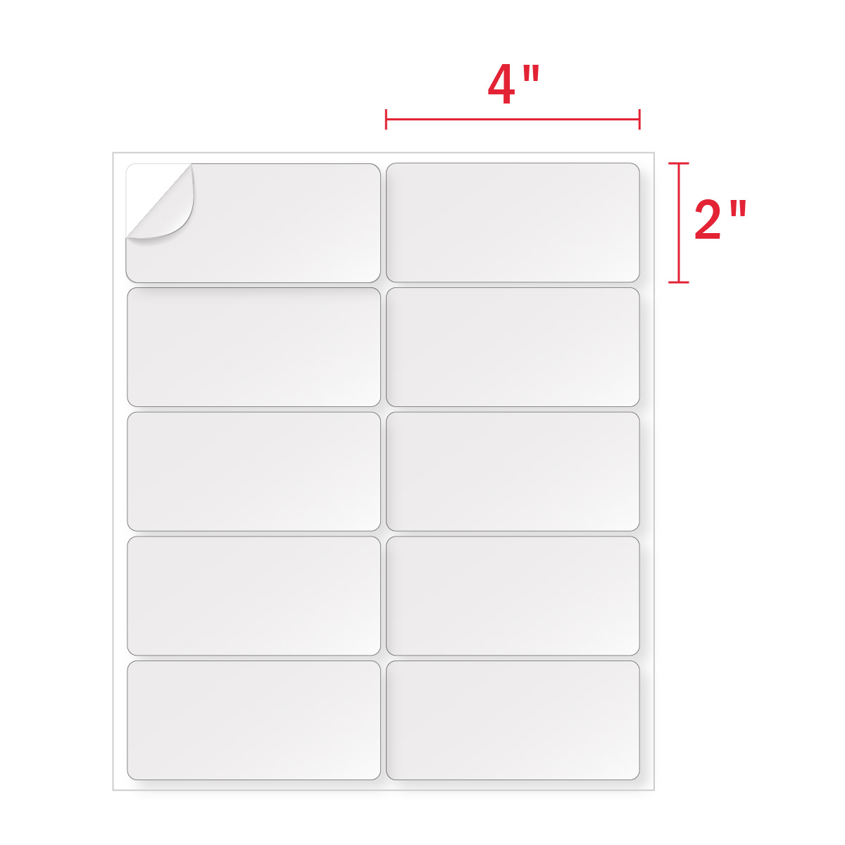 2x4 Labels (Blank Rectangle White Paper) 10 Labels Per Sheet